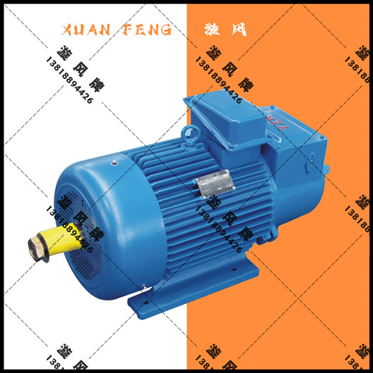 卷揚(yáng)機(jī)電機(jī)